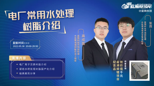 藍(lán)曉科技直播回放——電廠常用水處理樹脂介紹.png